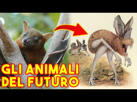 Video: C'è una richiesta di zoologi in futuro?