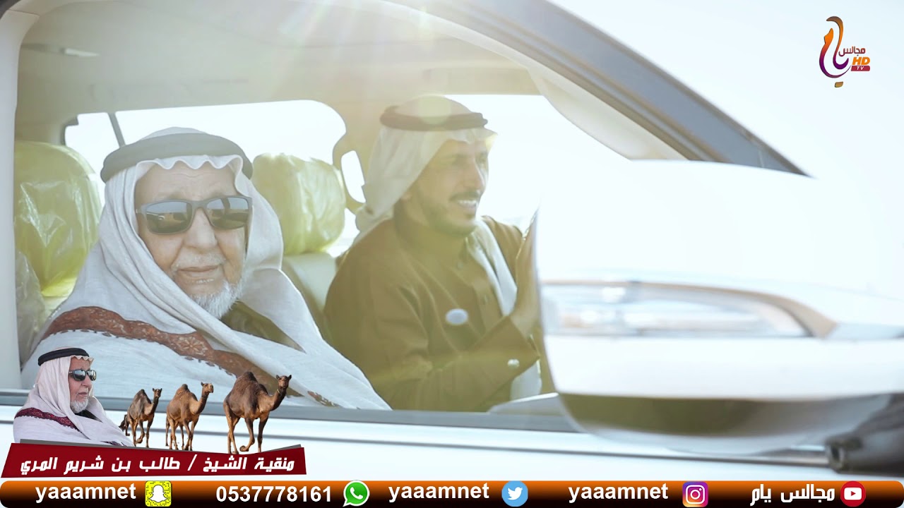 منقية الشيخ / طالب بن شريم المري في مهرجان الملك عبدالعزيز للإبل _ 4 على مجالس يام