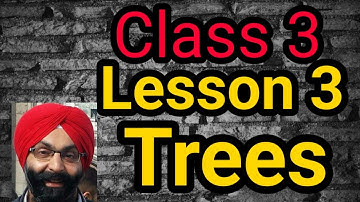 Class 3, English, Lesson 3, Trees