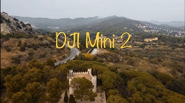 DJI MINI 2 Dji Fly 1.7.8 iOS CE
