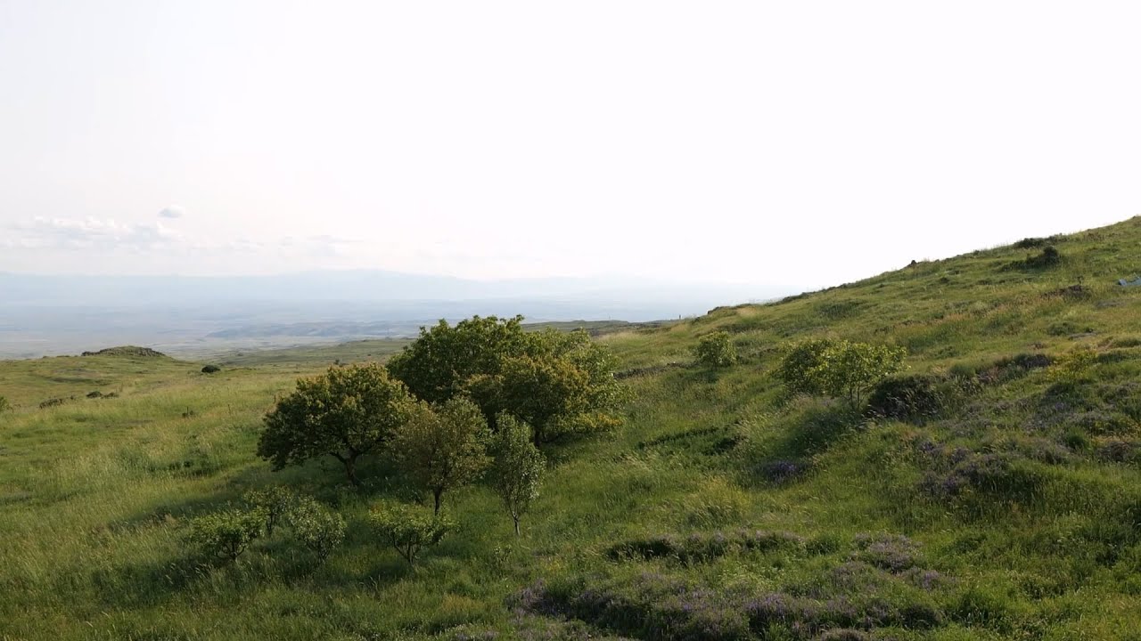 Վերին.Բազմաբերդ.Verin.Bazmaberd.Ուրախ.Քեֆ.Qef.2025