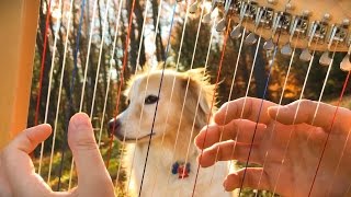 Video thumbnail of "Hallelujah on a Harp - Leonard Cohen Tribute"