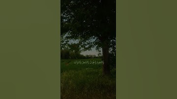 سورة الحج للقارئ الشيخ عبد الهادي كناكري