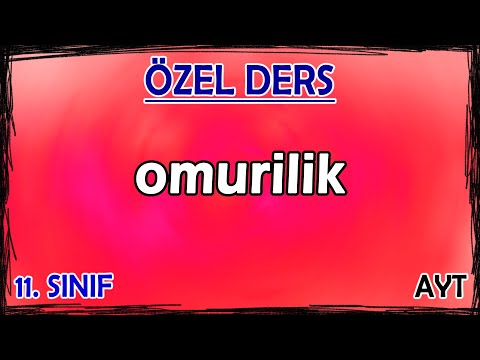 5) İnsanda Sinir Sistemi - Omurilik - Özel Ders (11. Sınıf)