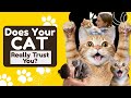 10 Heartwarming Signs Your Cat Truly Trusts You 🐾 | How to Build a Strong Bond With Your Cat