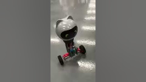 Self-Balancing Robot