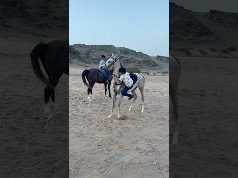 تحدينا رعد يركب من حاله اكسبلور خيل سعد الخيال الصغير  عواد
