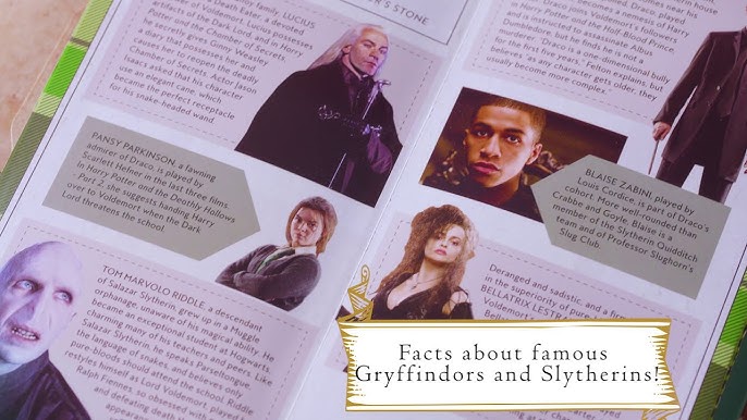 Harry Potter: Slytherin Magic: Artifacts from the Wizarding World (Harry  Potter Collectibles, Gifts for Harry Potter Fans) (Harry Potter Artifacts)