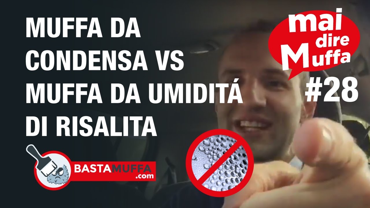#MaiDireMuffa Ep.28 - Muffa da condensa Vs Muffa da umidità di risalita