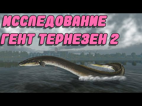 Видео: Fishing Planet PS4# Исследование Гент Тернезен 2 / Нидерланды