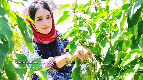 حياة القرية الإيرانية | طبخ طعام قروية لذيذ بشكل غريب من قِبل فتاة ريفية