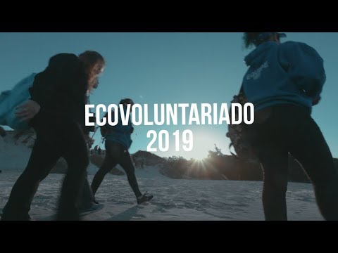 ECOVOLUNTARIADO 2019 - Instituto Baleia Franca (IBF)