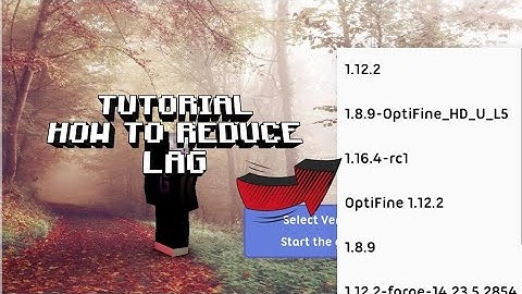How to Fix Controlls/Reduce lag on 1.16.4-rc1 MCinaBox | GianMc