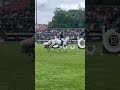 Cinca 3 did not want to touch a pole👍🏼 #Showjumping