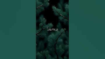 الراحة النفسية 😌🥰 #قران_كريم #تلاوة_موثرة #راحة_نفسية