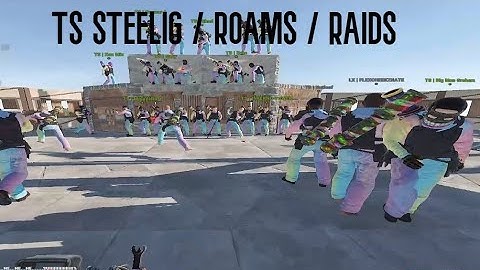 TS steelig / MINI WIPE ROAMTAGE / 500 ROCKET PUMMEL / Vital 2x Fridays