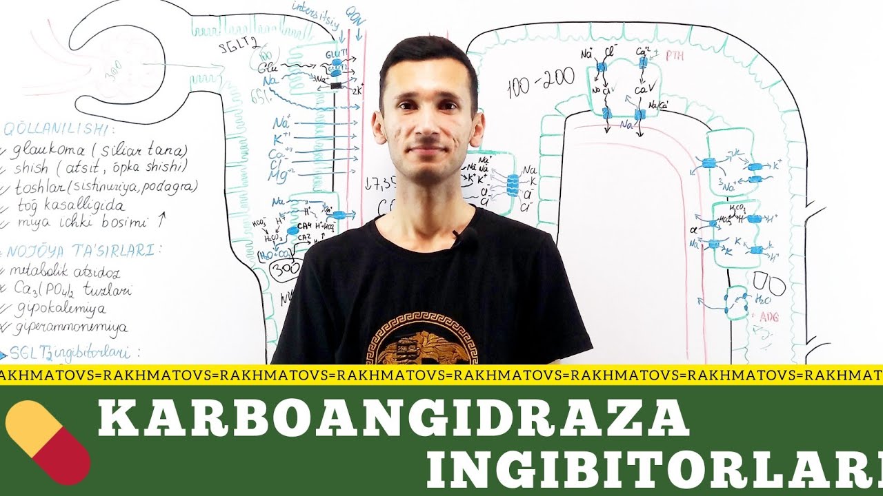 Диуретиклар фармакологияси. Карбоангидраза ингибиторлари