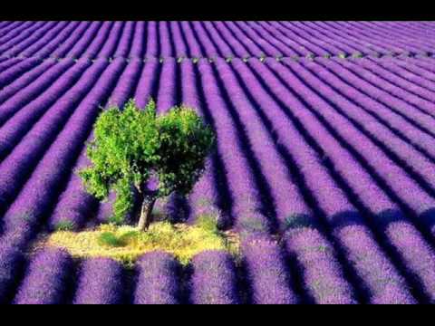 Soundtrack From The Movie The Message