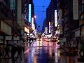 Hong Kong Tram POV – Autumn Evening Commute