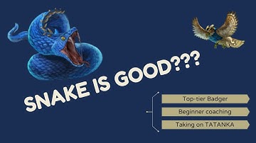 Tooth and Tail 1v1 coaching session