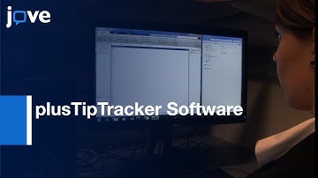 Measuring Microtubule Dynamics-Xenopus laevis Growth Cones l Protocol Preview