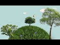 How Can Bees Help Alleviate Poverty? | Bees for Development