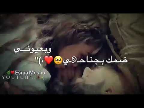 بدي احلم طير ضمك بجناحي وعيوني