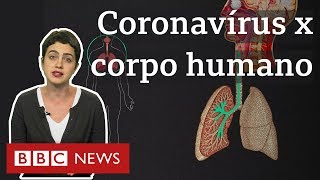 Coronavírus: O que a covid-19 faz com o seu corpo