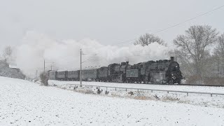 Celebrity Mit 8 Zylindern gegen den Schneesturm - Der "Elefant" C 5/6 2978 auf Heimreise in die Schweiz Wealth