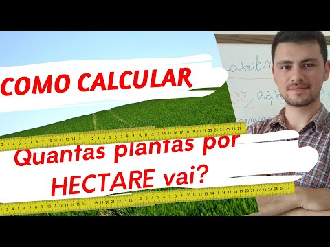 Vídeo: Quantas árvores fazem um hectare?