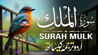 Surah Al-Mulk سورة الملك | Heart Touching Quran Recitation With Urdu Translation | Qari Mansoor