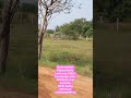 Low Budget plots for sale in Guduvanchery #chennai #Kayarambedu #Owner Plots #gst #railway near💥😍
