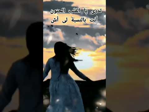 تدري يالقلب الحنون انت بالنسبالي أيش احتاجك انا احلام