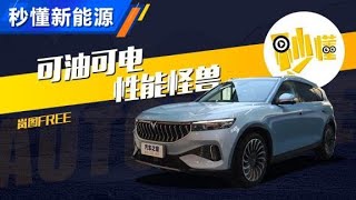 快速了解岚图FREE，豪华性能两手抓【汽车之家】