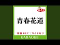 青春花道 (カラオケ) (原曲歌手:ポルノグラフィティ)