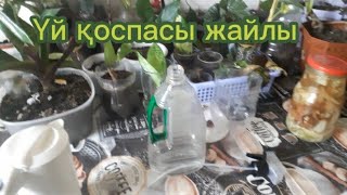 Қоспа қосып опрыскивание жасау.Комнатные растения.