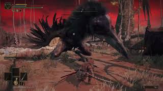 Elden Ring - Caelid in a nutshell