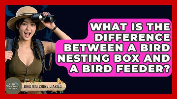 What Is The Difference Between A Bird Nesting Box And A Bird Feeder? - Bird Watching Diaries