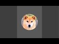 柴犬コロと猫のあんこ がライブ配信中!