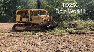 TD25C Clearing Trees for Hay and Pasture
