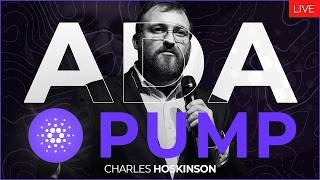 Charles Hoskinson on Cardano Bull Run | ADA Price Analysis, Forecast & ADA Stock Rally