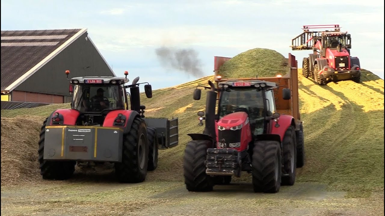 Maïs 2025 | MF 8730 met schuif is zo boven | Case 821G | Zilveren MF | Tatra Agrotruck | Ginaf | BLW