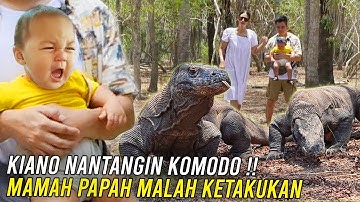 KIANO MARAH SAMA KOMODO ‼️ KOMODONYA TAKUT SAMA TIGER SI RAJA HUTAN ..