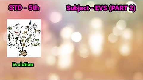 STD 5th | EVS PART 2 | 7 From Shelter to Village Settlement | English medium | Class 5th