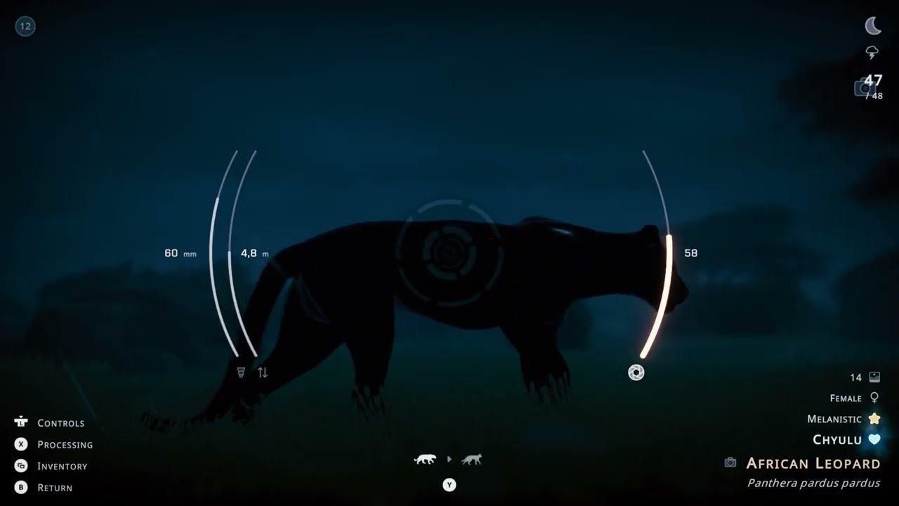 Seclusa - I found Chyulu ❤️