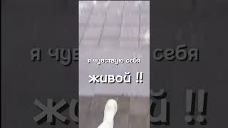 Я так обожаю снег и зиму 💞💗#лая #зима #первыйснег  #люблюзиму