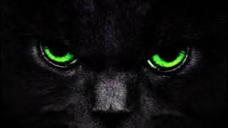 [FREE]Bass Sevenlere Özel ▶Drill◀ Beat Remix