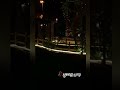 بس ودددي اااعيش العمررر انا عااادي بس ودددي اااعيش العمررر انا عااادي