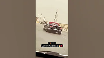 النمر اول ما بيظهر يخض نمر ١ 