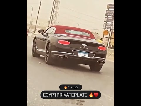النمر اول ما بيظهر يخض نمر ١